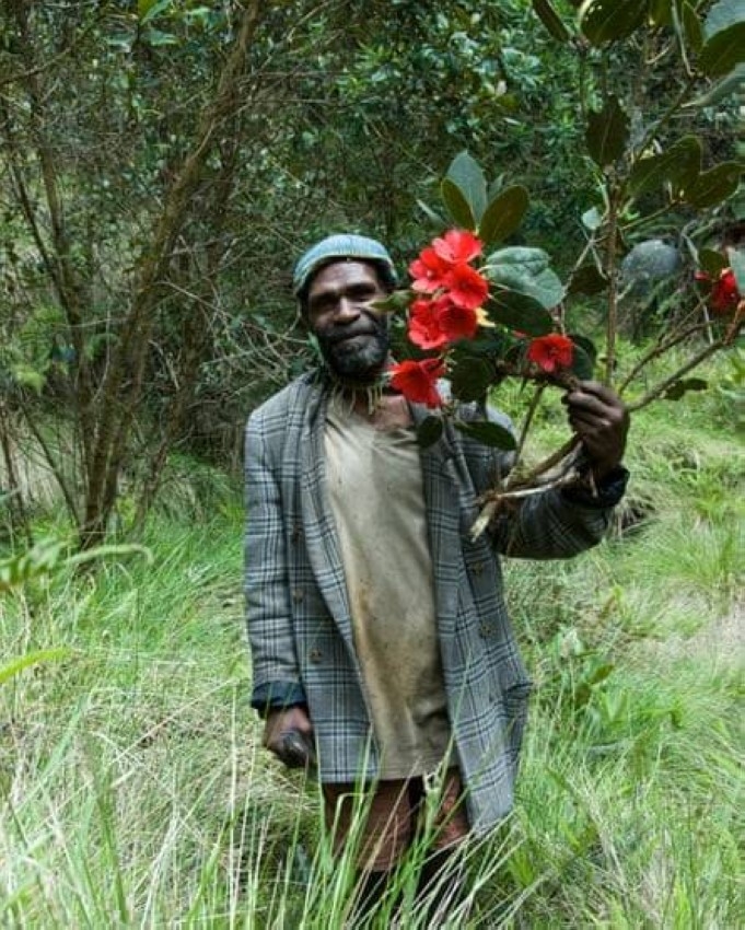 دراسة: أكثر تنوع نباتات بين جزر العالم في غينيا الجديدة