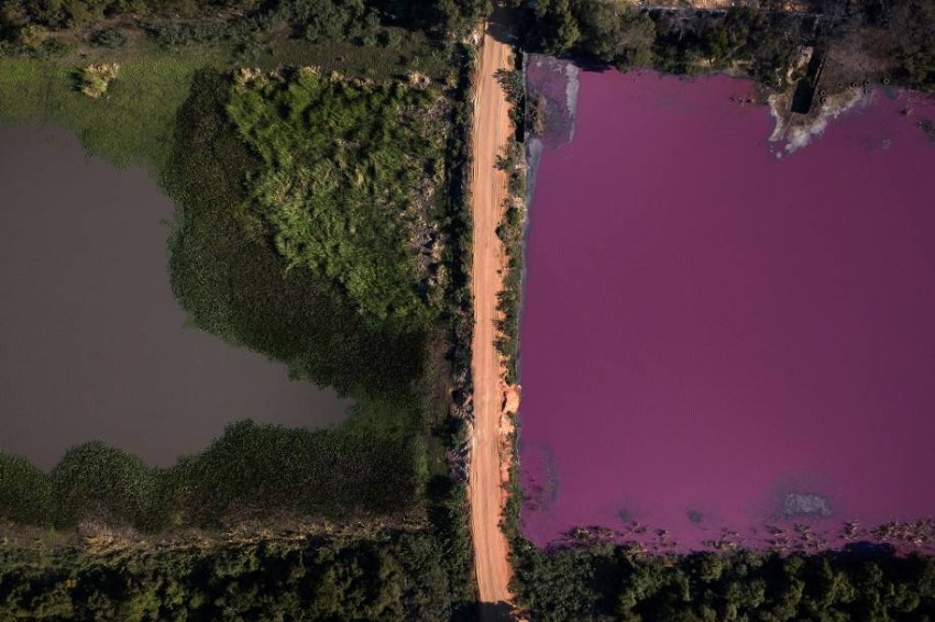 باراغواي.. تحول نصف بحيرة إلى اللون الأرجواني يحير العلماء