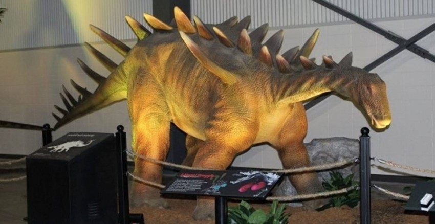 مزاد لبيع 50 ديناصوراً في كندا