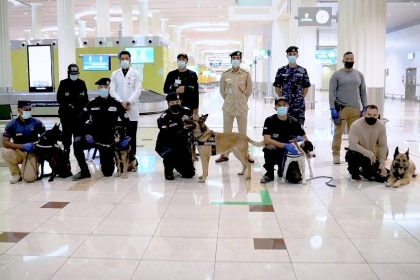 21 كلباً بوليسياً لكشف المسافرين المصابين بكورونا في دبي