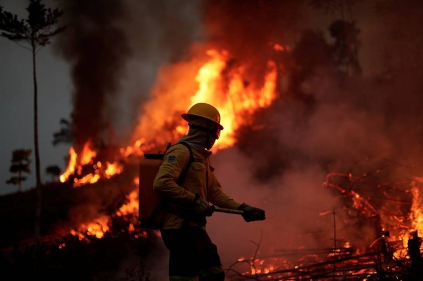 الرئيس البرازيلي يصف حرائق غابات الأمازون بأنها «أكذوبة»