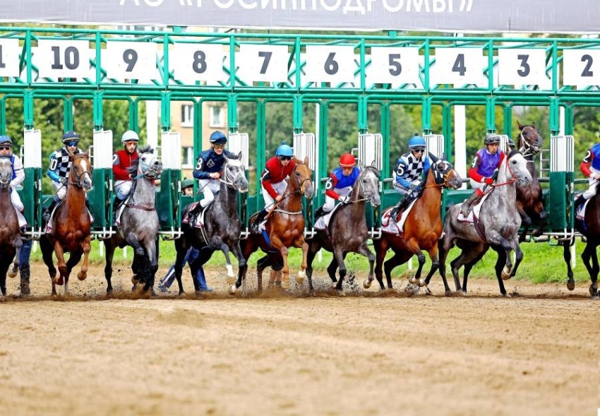 أكيرلاند بطل كأس رئيس الدولة للخيول العربية في روسيا