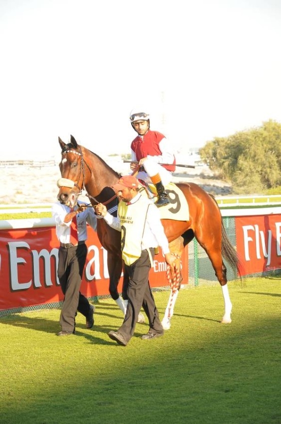 2009.. انطلاق مهرجان منصور بن زايد العالمي للخيول