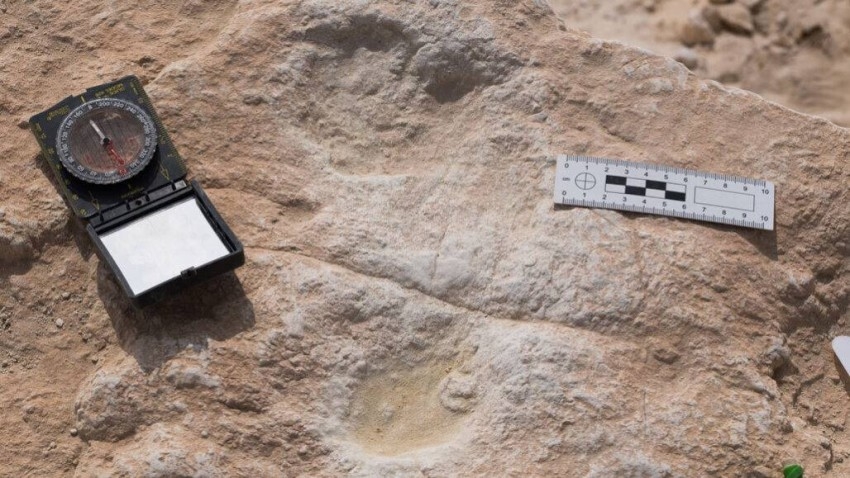 اكتشاف أقدم دليل على وجود الإنسان في شبه الجزيرة العربية