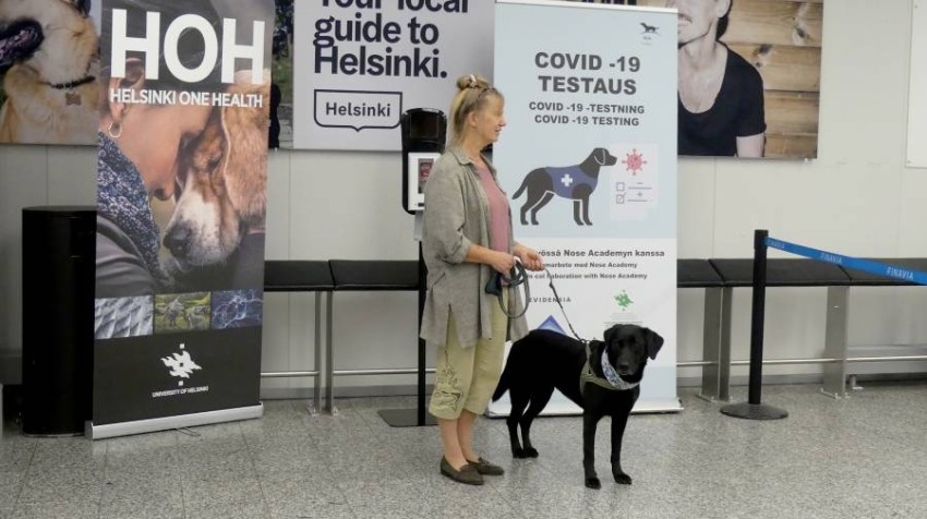 فنلندا تستعين بالكلاب لكشف فيروس كورونا في مطار هلسنكي