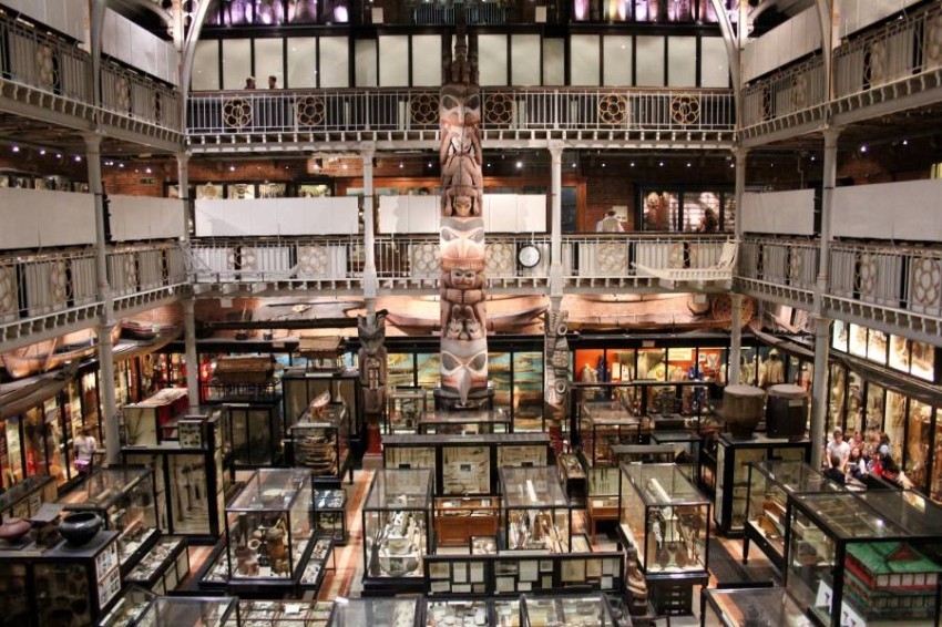 متحف أكسفورد يزيل الرؤوس المقطوعة والجماجم من معروضاته