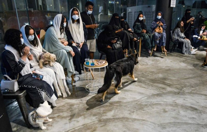 مقهى لـ«دلال» الكلاب في السعودية
