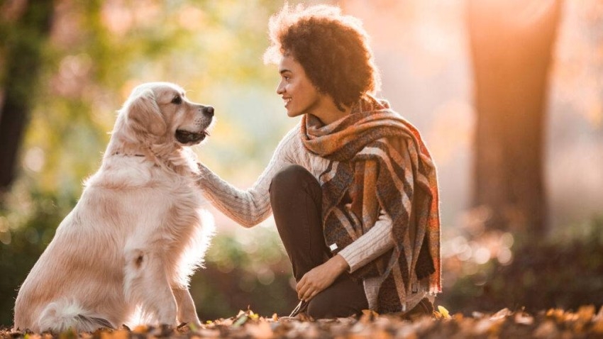 دراسة حديثة: الكلاب لا تكترث لملامح الوجوه