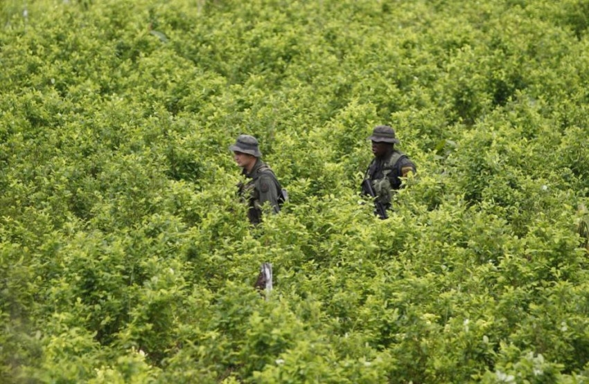 كولومبيا تعلن عن إنجاز في حرب «الكوكايين»
