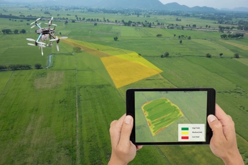 تطبيق ذكي لتحليل صور المحاصيل لمساعدة المزارعين