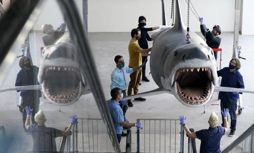 متحف الأوسكار يحتضن مجسّم سمكة قرش «الفك المفترس»