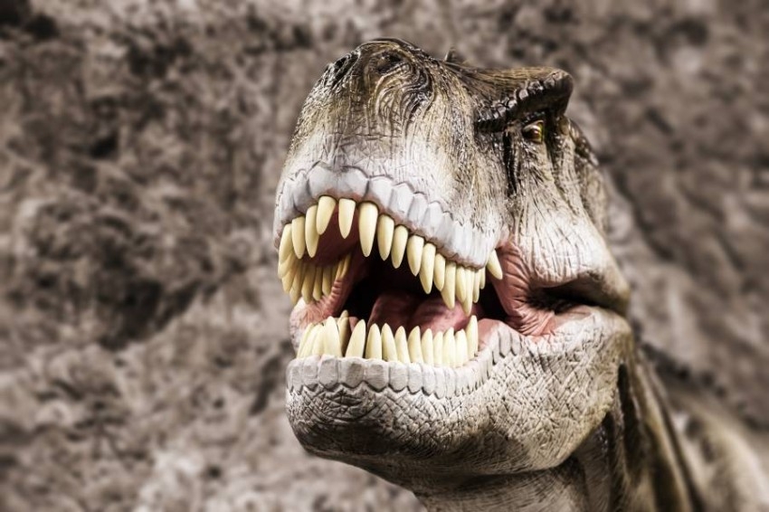 مفاجأة كبرى.. أسنان الديناصورات تطورت من أسلاف الثدييات