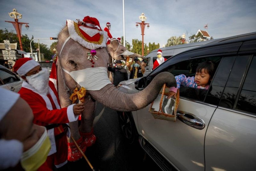 فيلة بزي سانتا كلوز توزع كمامات في مدرسة تايلاندية