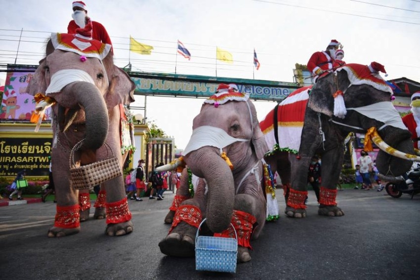 فيلة بزي سانتا كلوز توزع كمامات في مدرسة تايلاندية