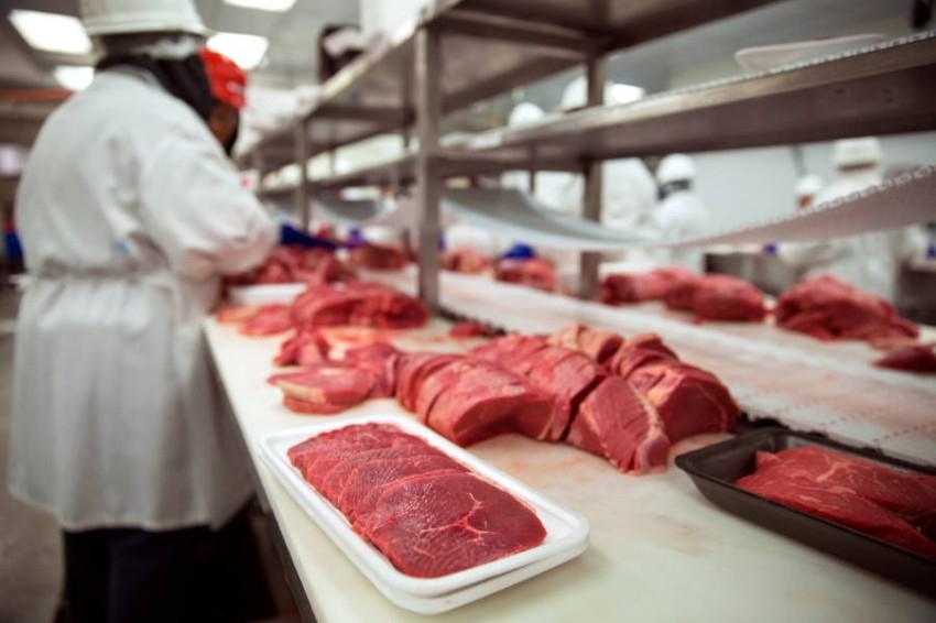 «كورونا» تدعم الاستثمار في بدائل اللحوم «النباتية والمستزرعة»
