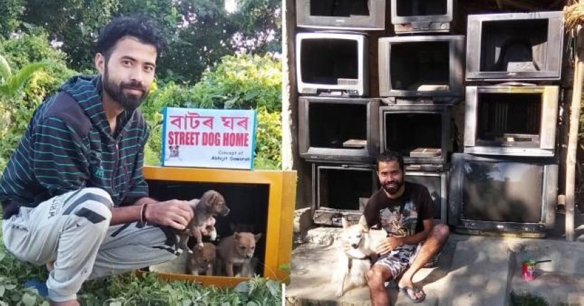 تلفزيونات قديمة تتحول لمأوى كلاب مشردة في الهند
