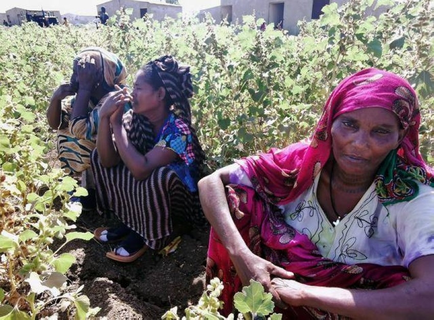 توغل جديد لميليشيات إثيوبية شرق السودان