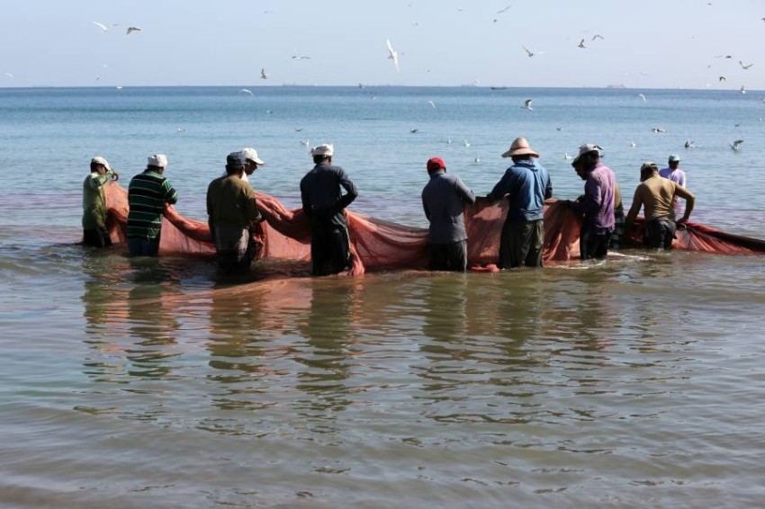 مواطنون يشكون من ضوابط الصيد بـ«الضغوة».. والتغير المناخي: حفاظاً على الموائل