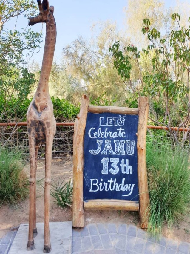 حديقة الحيوانات بالعين تحتفل بعيد ميلاد الزرافة جانو