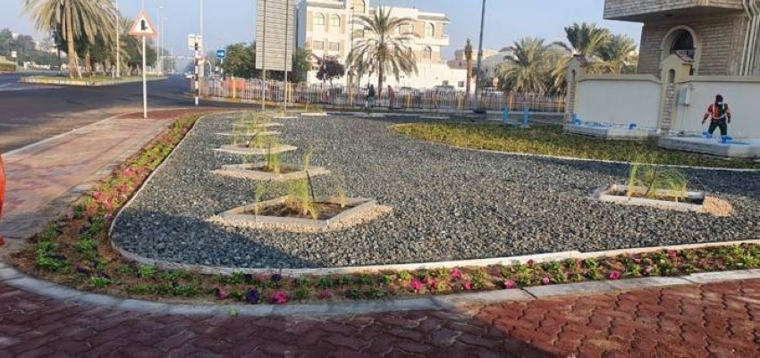 تطوير الأحواض الرملية على امتداد شارع الكرامة بالقرب من الاتحاد النسائي بأبوظبي