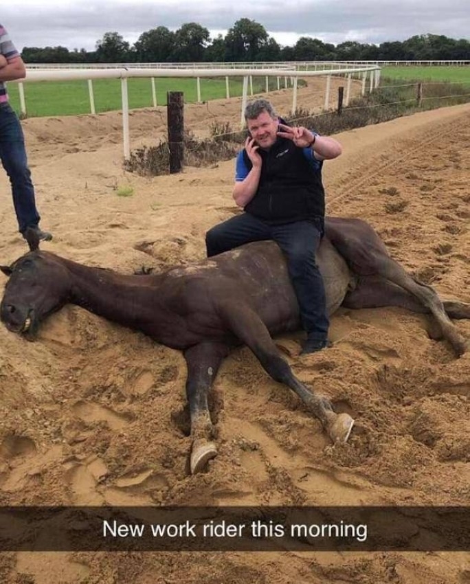 صورة مدرب يجلس على جثة حصان تثير الاستياء