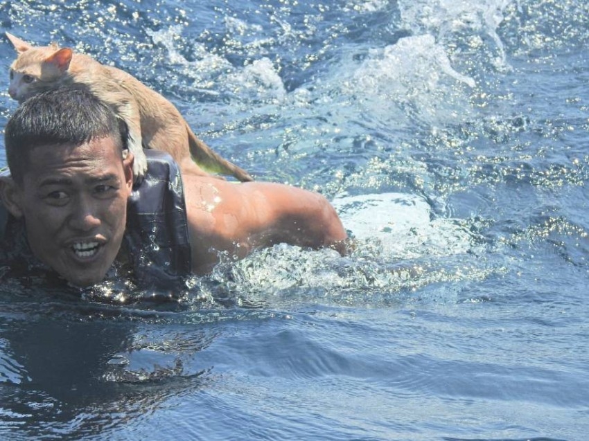 يغامر بحياته لإنقاذ «الفور كاتس» من قارب محترق