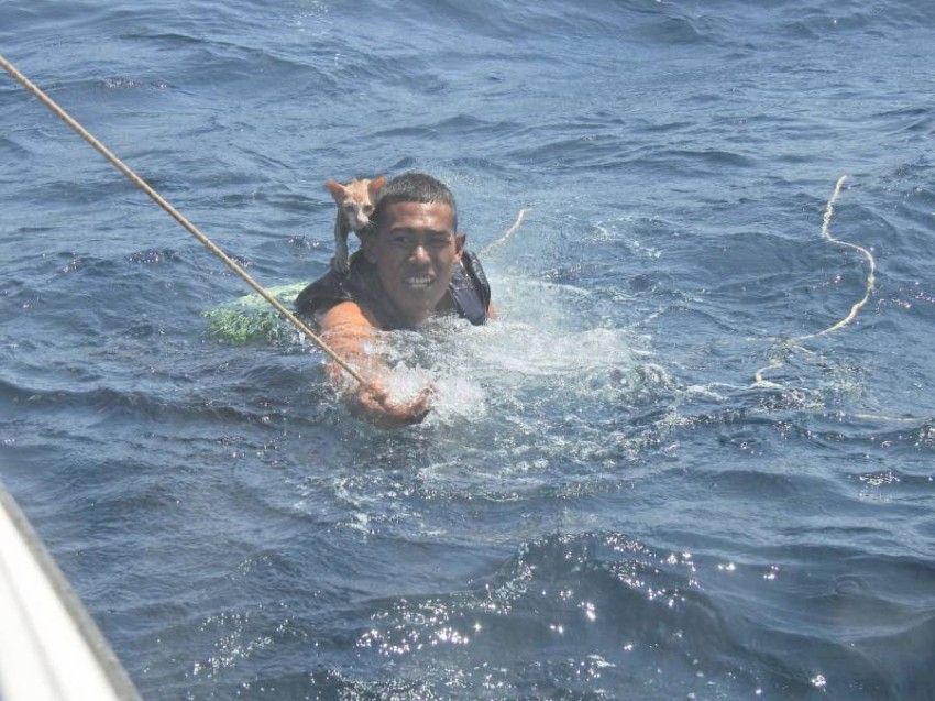 يغامر بحياته لإنقاذ «الفور كاتس» من قارب محترق