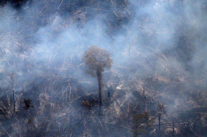 دراسة: البشر تسببوا في تدهور أو تدمير ثلثي الغابات المطيرة