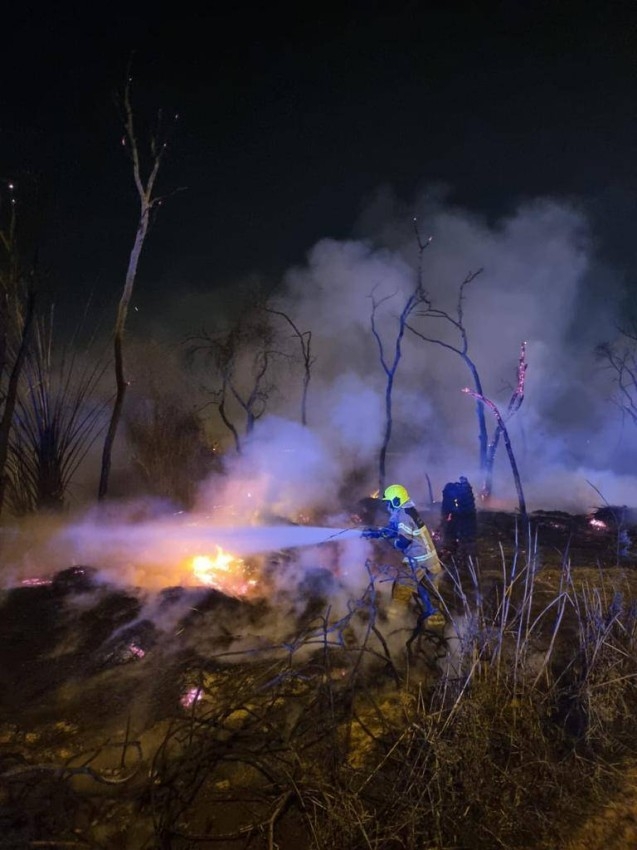 دفاع مدني دبي يخمد حريقاً شب في مركبة وأشجار