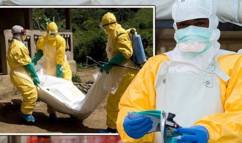 العلماء يشعرون بالصدمة بعد اكتشاف سبب التفشي الجديد لفيروس إيبولا