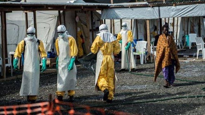 العلماء يشعرون بالصدمة بعد اكتشاف سبب التفشي الجديد لفيروس إيبولا