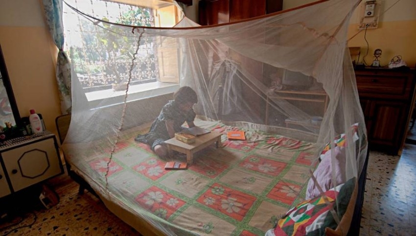 تقنية المراقبة الذكية تقضي على الملاريا في مدينة هندية