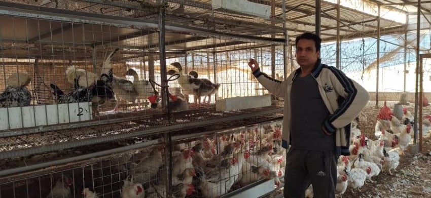 فلسطيني يقضي 17 عاماً في البحث عن الطيور النادرة