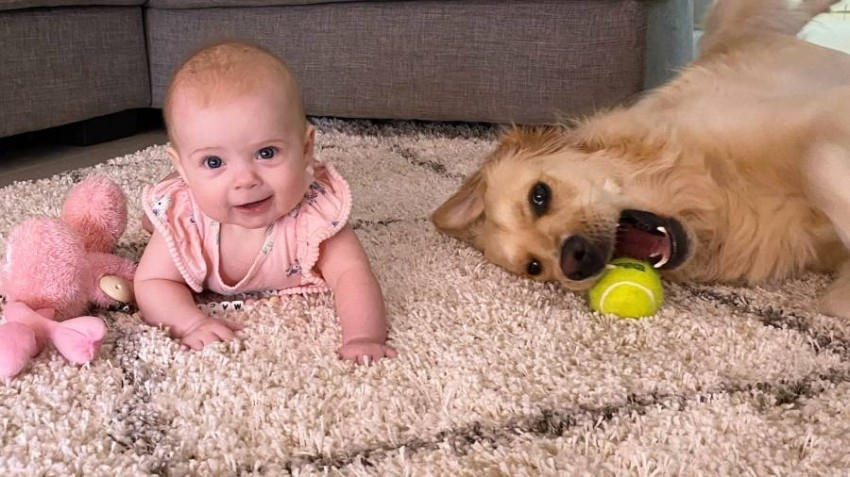 صداقة بين كلب وطفلة تحولهما لنجمين على إنستغرام