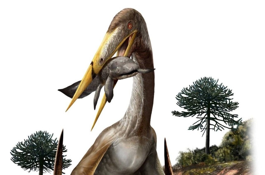 تفكيك لغز قدرة التيروصورات على تحمّل وزن رأسها وعنقها