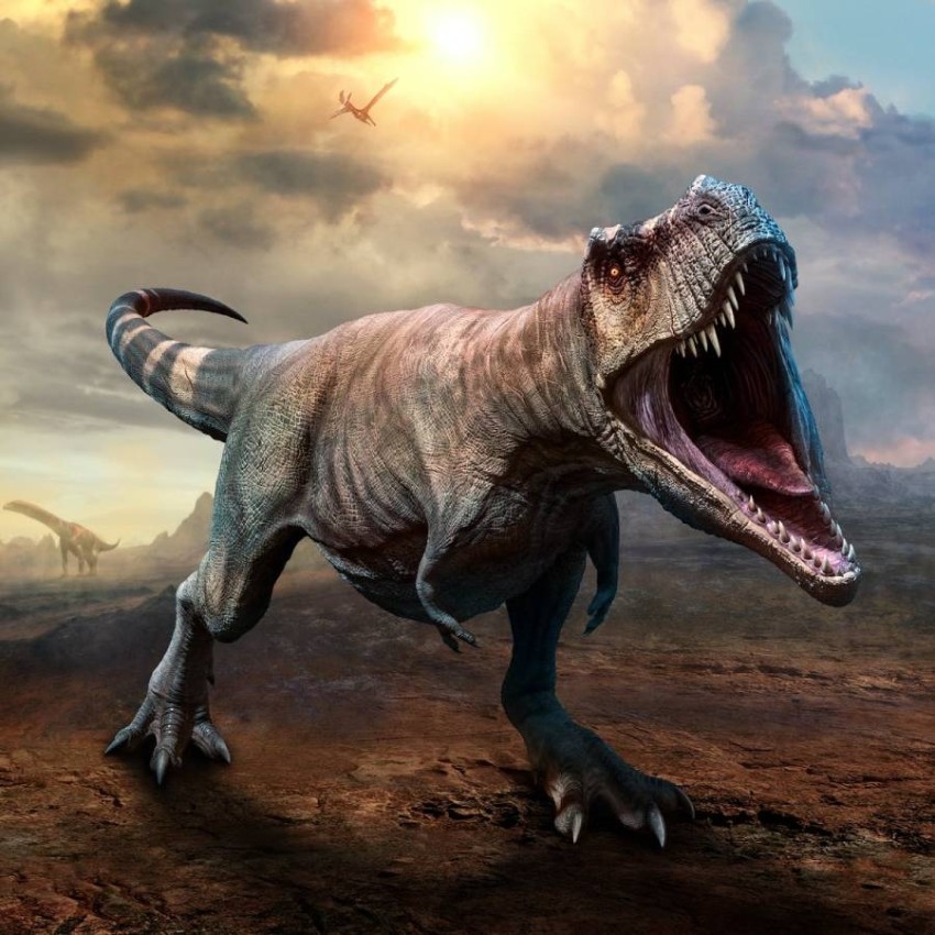 دراسة: 2.5 مليار ديناصور «تي ركس» عاشت على مدى 2.4 مليون عام