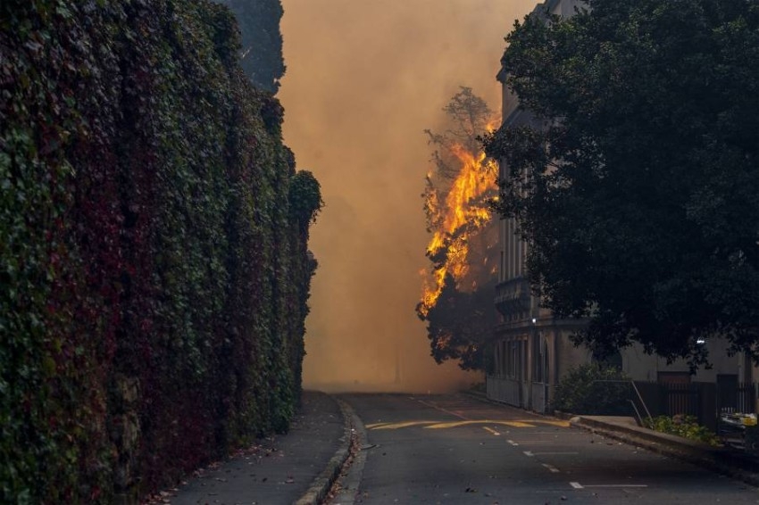 حريق عند سفح جبل «تايبل ماونتن» الشهير في جنوب أفريقيا