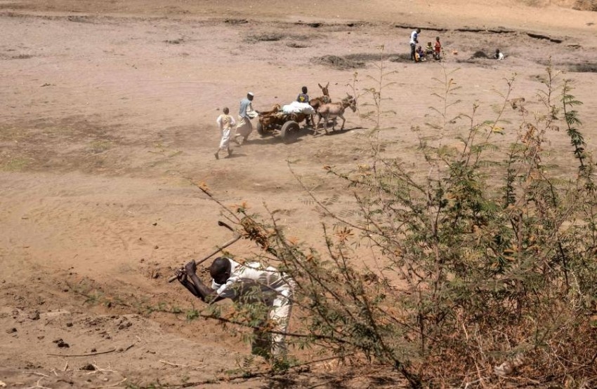 محمية الدندر.. 10 آلاف كم حاضنة للطيور المهاجرة في السودان