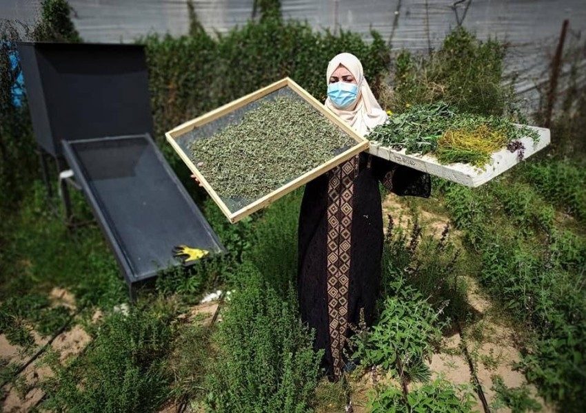 أماني أبولطيفة.. سيدة العطور الشعبية في غزة