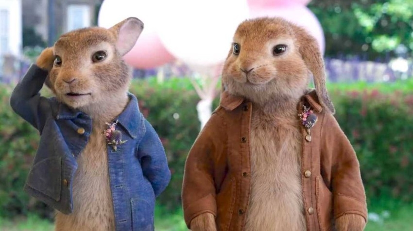 «Peter Rabbit 2» .. مغامرات الأرنب بيتر في البيت والشارع والسجن