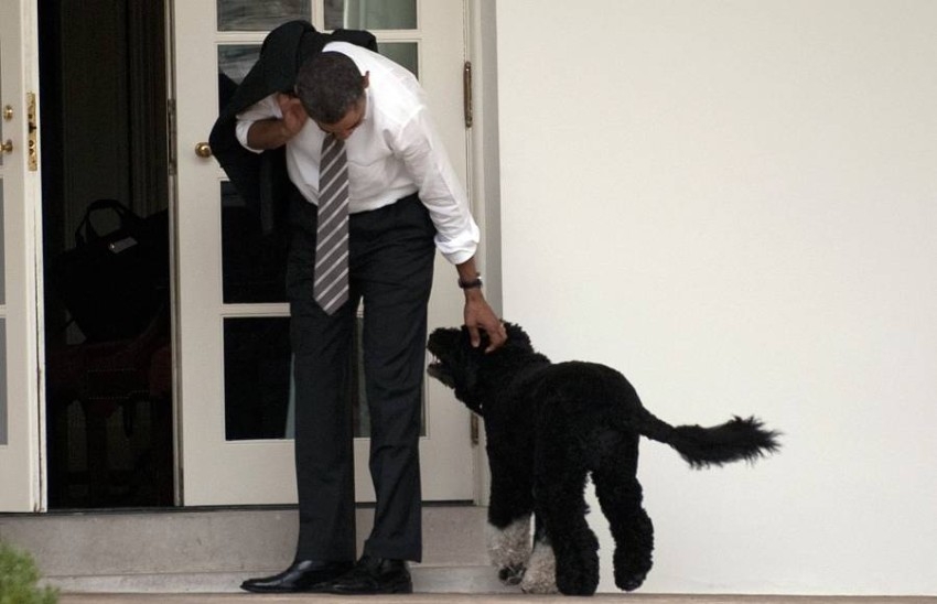 بالصور: باراك أوباما ينعى كلبه «بو».. أحد نجوم البيت الأبيض