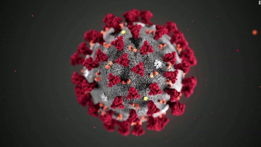 علماء: منشأ فيروس كورونا لا يزال غير واضح