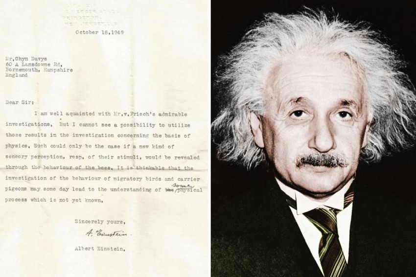 رسالة تكشف تنبؤ أينشتاين بـ«حواس الحيوان الخارقة»
