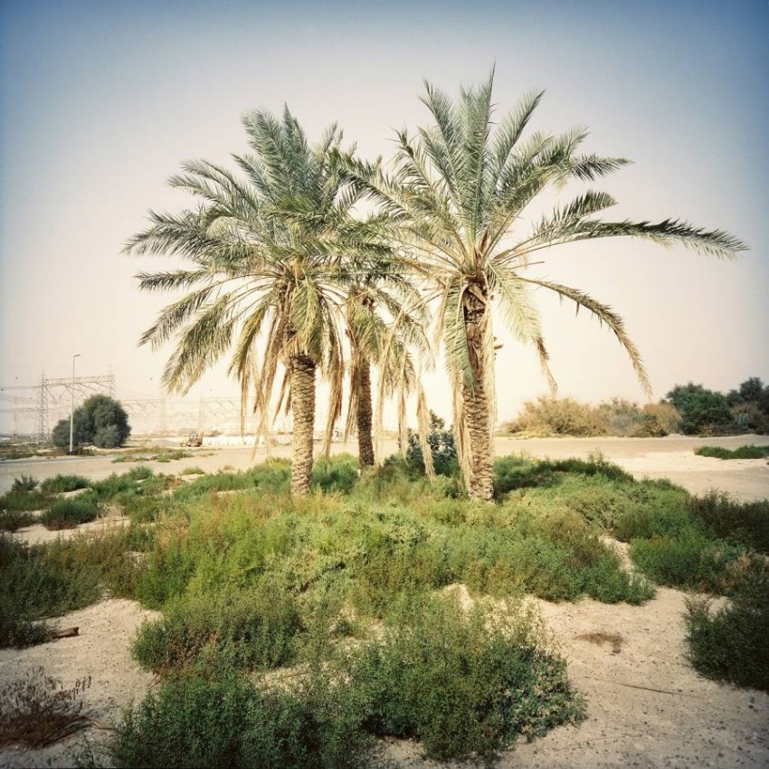 هند مزينة تسلط الضوء على دبي في «أرض العجائب»