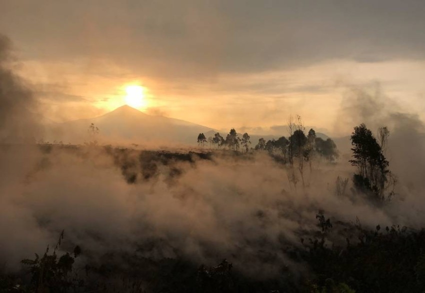 مدينة جوما تنجو من حمم بركان «نيراجونجو» في الكونغو