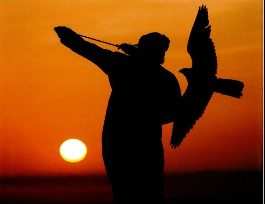 «أبوظبي للصيد» يُطلق مُسابقة «أجمل القصائد في وصف الطير والمقناص»