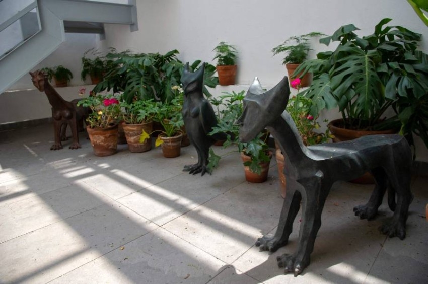 تحويل منزل الفنانة ليونورا كارينغتون في مكسيكو إلى متحف