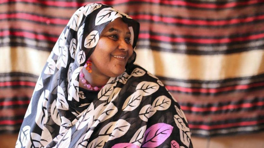 وزيرة خارجية السودان تبدأ جولة أفريقية لحشد التأييد بشأن سد النهضة