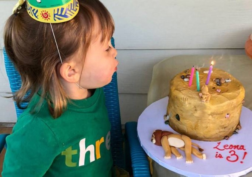طفلة تفاجئ حضور عيد ميلادها بكعكة مقتل «الأسد الملك»
