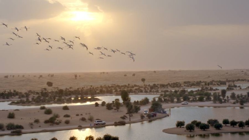 5 عوامل تعزز من مكانة قطاع الضيافة الإماراتي عالمياً قبل انطلاق إكسبو 2020 دبي